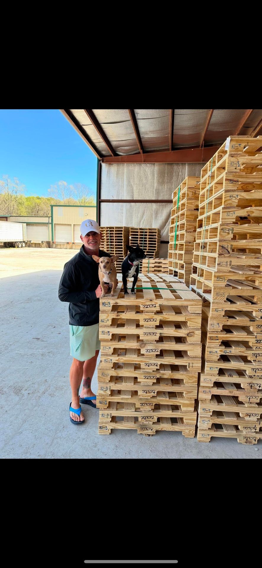 Person with two dogs on stacked wooden pallets in a warehouse setting.